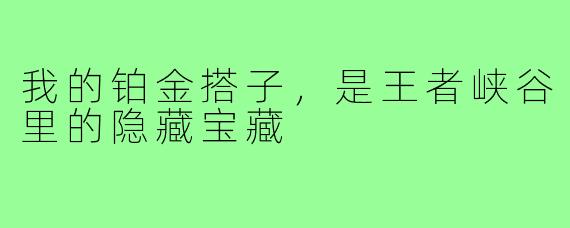 我的铂金搭子,是王者峡谷里的隐藏宝藏