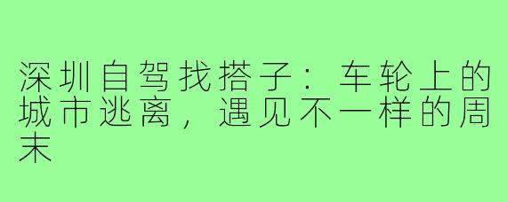 深圳自驾找搭子：车轮上的城市逃离，遇见不一样的周末