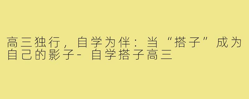高三独行,自学为伴:当“搭子”成为自己的影子-自学搭子高三