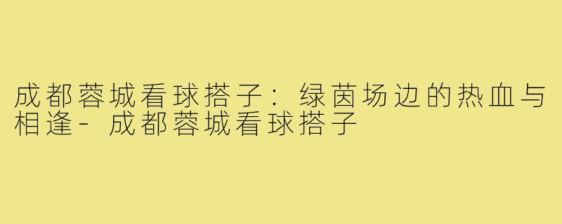 成都蓉城看球搭子:绿茵场边的热血与相逢-成都蓉城看球搭子