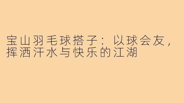 宝山羽毛球搭子：以球会友，挥洒汗水与快乐的江湖