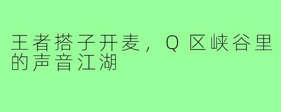 王者搭子开麦,Q区峡谷里的声音江湖