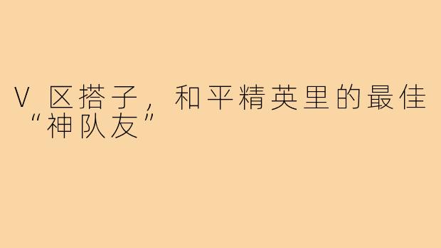 V区搭子，和平精英里的最佳“神队友”