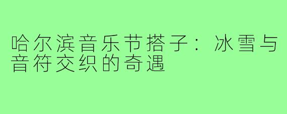 哈尔滨音乐节搭子:冰雪与音符交织的奇遇