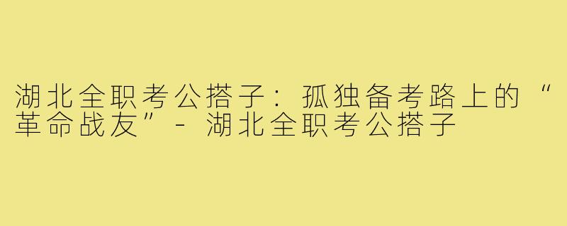 湖北全职考公搭子：孤独备考路上的“革命战友”-湖北全职考公搭子