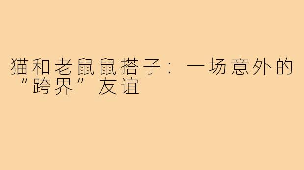 猫和老鼠鼠搭子：一场意外的“跨界”友谊