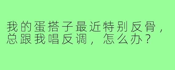 我的蛋搭子最近特别反骨，总跟我唱反调，怎么办？