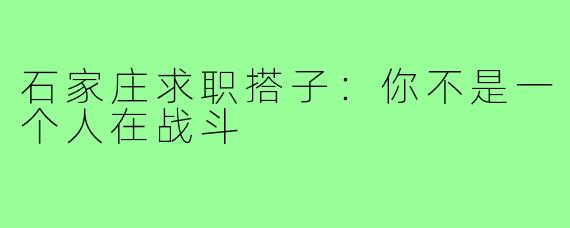石家庄求职搭子：你不是一个人在战斗
