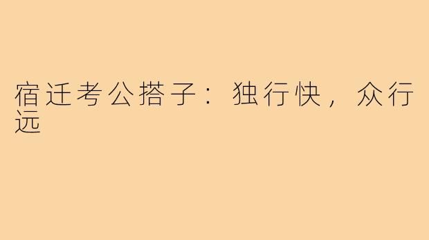 宿迁考公搭子：独行快，众行远