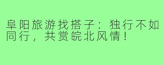 阜阳旅游找搭子：独行不如同行，共赏皖北风情！