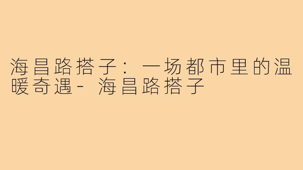 海昌路搭子：一场都市里的温暖奇遇