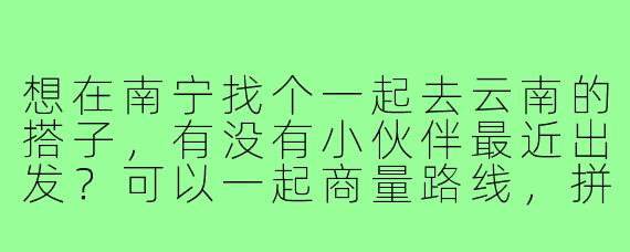 想在南宁找个一起去云南的搭子，有没有小伙伴最近出发？可以一起商量路线，拼车拼饭，男女不限，主要希望性格开朗好相处，行程大概7-10天，大理丽江香格里拉这条线优先～