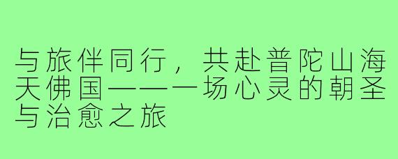 与旅伴同行，共赴普陀山海天佛国——一场心灵的朝圣与治愈之旅