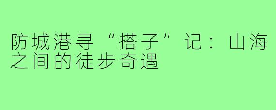 防城港寻“搭子”记：山海之间的徒步奇遇