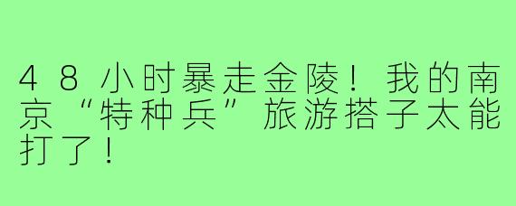 48小时暴走金陵！我的南京“特种兵”旅游搭子太能打了！