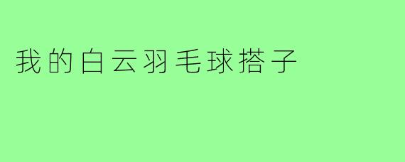 我的白云羽毛球搭子