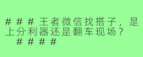 ###王者微信找搭子，是上分利器还是翻车现场？

####