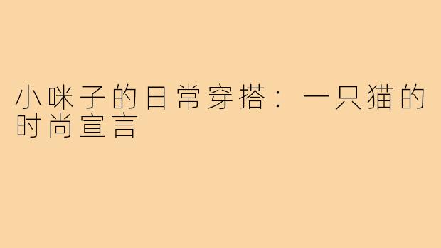 小咪子的日常穿搭：一只猫的时尚宣言