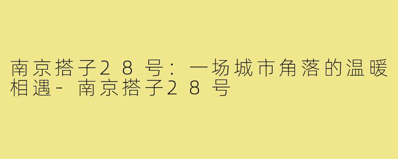 南京搭子28号：一场城市角落的温暖相遇-南京搭子28号