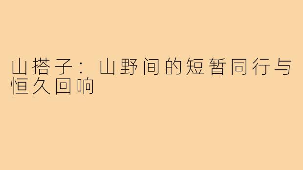 山搭子：山野间的短暂同行与恒久回响