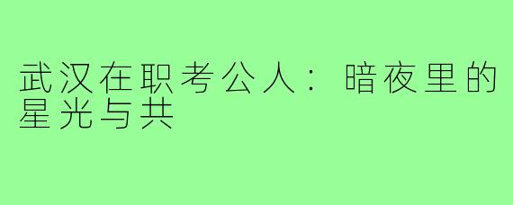 武汉在职考公人:暗夜里的星光与共