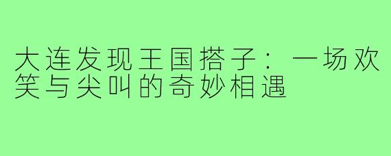 大连发现王国搭子：一场欢笑与尖叫的奇妙相遇