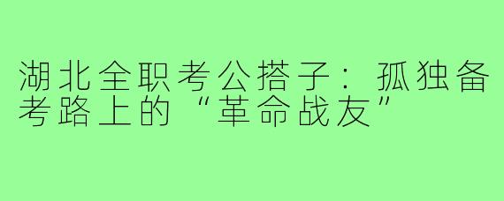 湖北全职考公搭子：孤独备考路上的“革命战友”