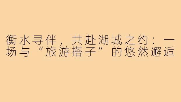 衡水寻伴，共赴湖城之约：一场与“旅游搭子”的悠然邂逅