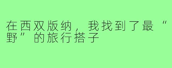 在西双版纳，我找到了最“野”的旅行搭子