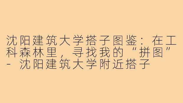 沈阳建筑大学搭子图鉴:在工科森林里,寻找我的“拼图”-沈阳建筑大学附近搭子