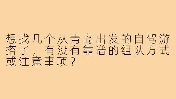 想找几个从青岛出发的自驾游搭子，有没有靠谱的组队方式或注意事项？