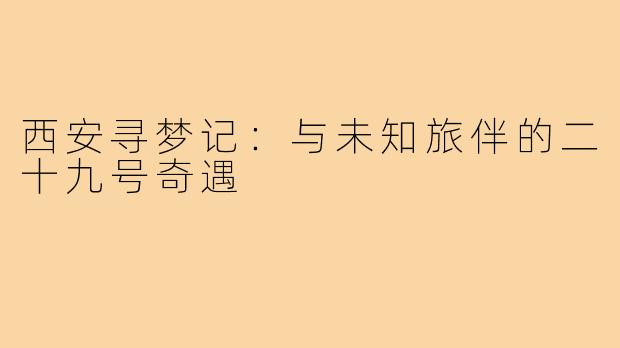 西安寻梦记：与未知旅伴的二十九号奇遇