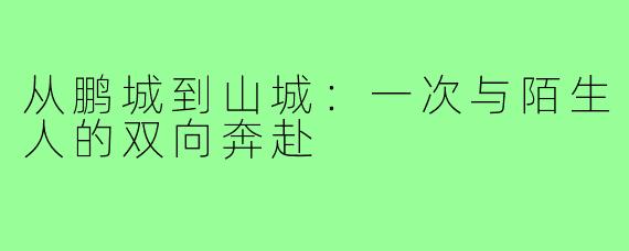 从鹏城到山城：一次与陌生人的双向奔赴