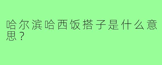 哈尔滨哈西饭搭子是什么意思?