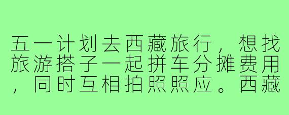 五一计划去西藏旅行，想找旅游搭子一起拼车分摊费用，同时互相拍照照应。西藏地域特殊，找搭子需要注意哪些问题？如何提前沟通避免旅途矛盾？