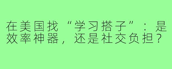 在美国找“学习搭子”:是效率神器,还是社交负担?