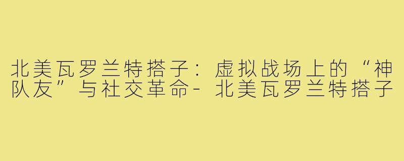 北美瓦罗兰特搭子：虚拟战场上的“神队友”与社交革命-北美瓦罗兰特搭子