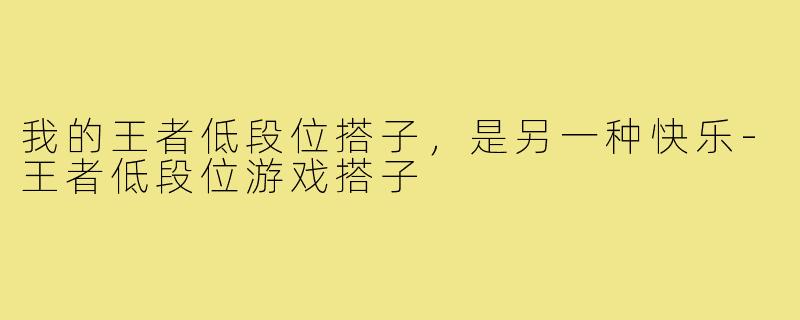 我的王者低段位搭子，是另一种快乐-王者低段位游戏搭子