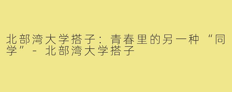 北部湾大学搭子：青春里的另一种“同学”-北部湾大学搭子