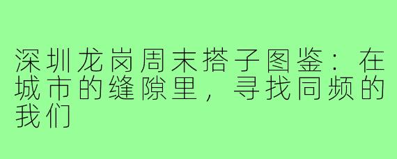 深圳龙岗周末搭子图鉴:在城市的缝隙里,寻找同频的我们