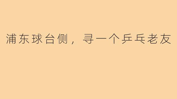 浦东球台侧,寻一个乒乓老友