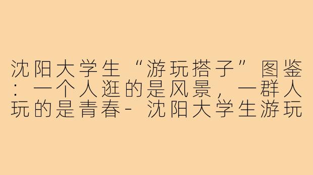 沈阳大学生“游玩搭子”图鉴：一个人逛的是风景，一群人玩的是青春-沈阳大学生游玩搭子