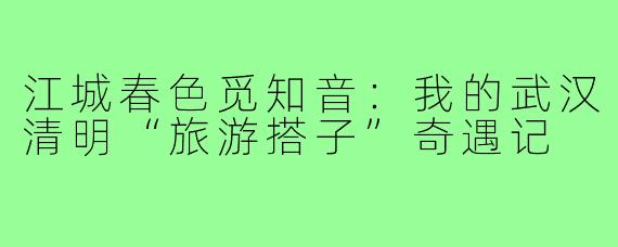 江城春色觅知音：我的武汉清明“旅游搭子”奇遇记