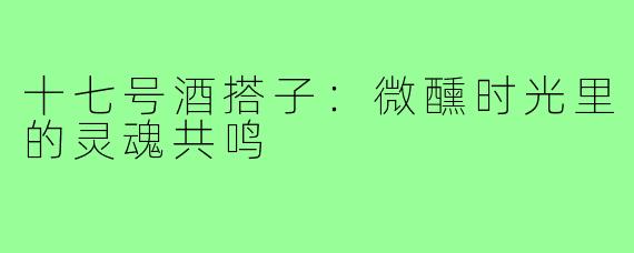 十七号酒搭子:微醺时光里的灵魂共鸣
