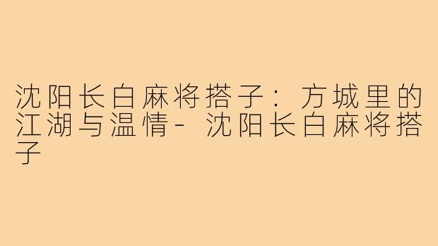 沈阳长白麻将搭子：方城里的江湖与温情-沈阳长白麻将搭子