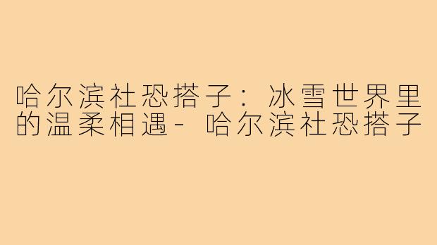 哈尔滨社恐搭子：冰雪世界里的温柔相遇-哈尔滨社恐搭子