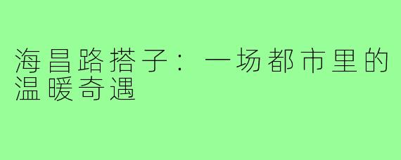 海昌路搭子：一场都市里的温暖奇遇
