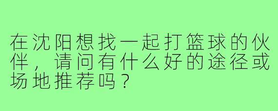 在沈阳想找一起打篮球的伙伴，请问有什么好的途径或场地推荐吗？