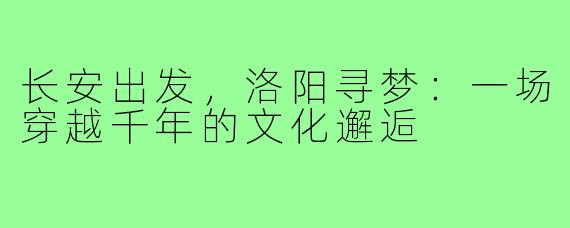 长安出发，洛阳寻梦：一场穿越千年的文化邂逅