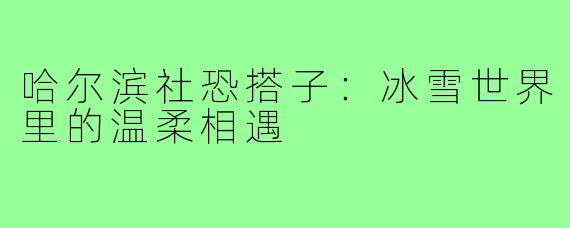 哈尔滨社恐搭子：冰雪世界里的温柔相遇